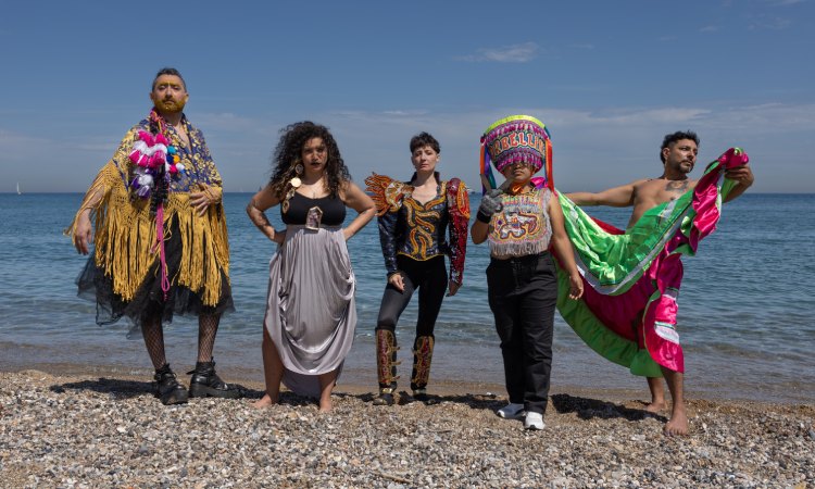 FOLKLORE ANDÍ andes