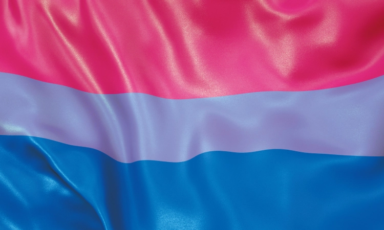 bisexual bandera