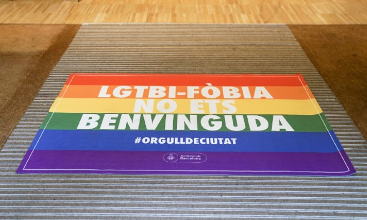 consell d'europa LGTBI-fòbia