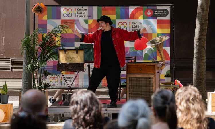 gneis il·lusionisme