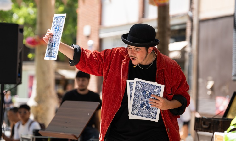 gneis il·lusionisme