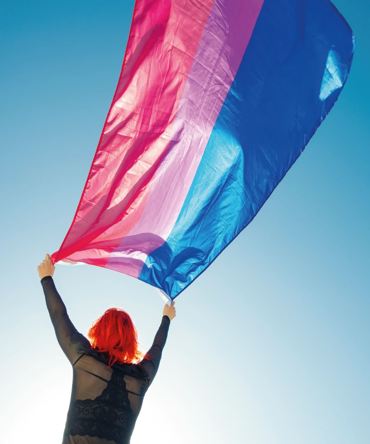 bandera bisexual